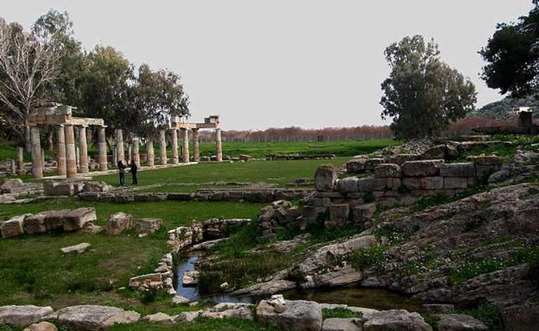 Artemis_DSCN1987a-1.jpg